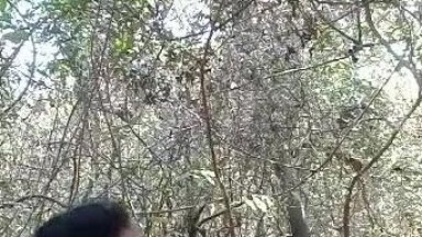 Outdoor sex masti karti hui dehati ladki khet mai chudi